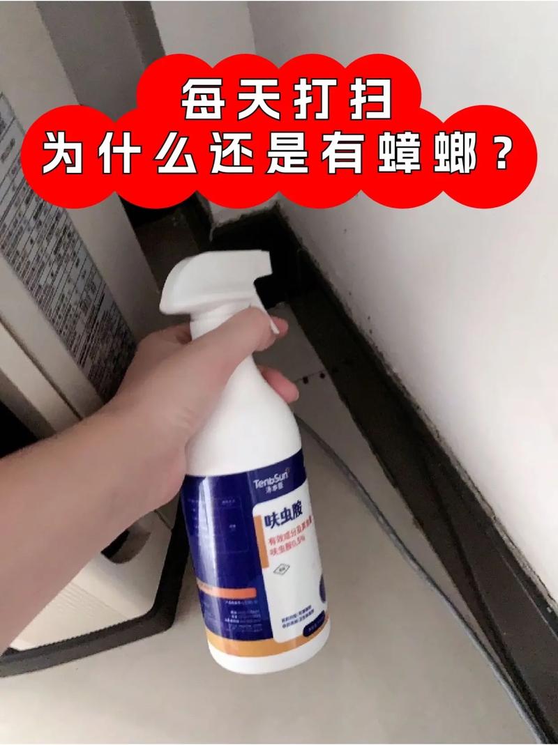 澳门天天好挂牌正版和未拆封餐具蟑螂乱爬与未拆封餐具蟑螂乱爬怎么办
