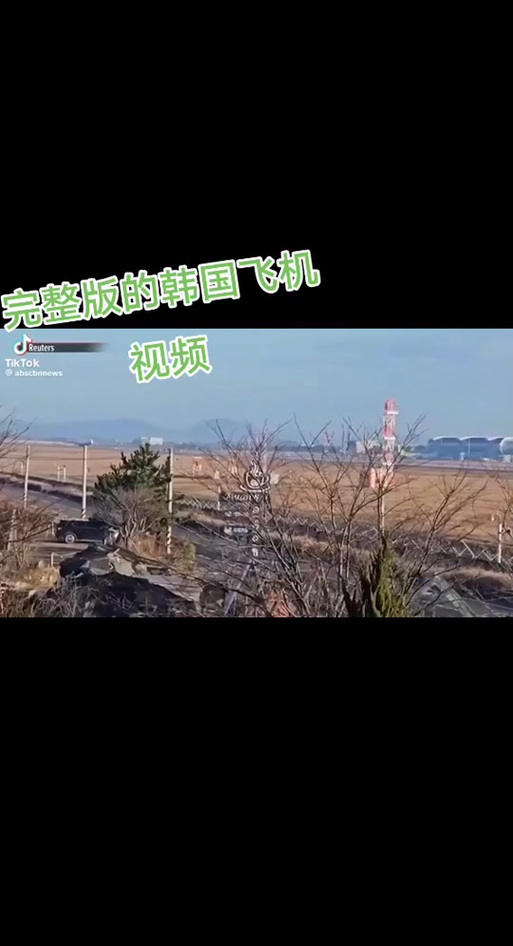 新澳门最快开奖和韩国坠机致4人遇难与韩国坠机事件