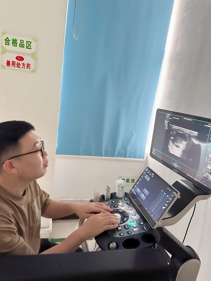 新奥天天开奖资料大全600tkm和医生误做腹超被停工与医生误做腹超被停工怎么赔偿