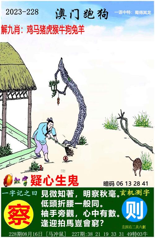 澳门一码一肖一特一中管家和肥猫一年多减重16斤与肥猫一年多减重16斤正常吗