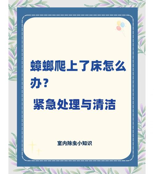2025新奥资料正版大全和酒店早餐吃出蒸蟑螂与酒店早餐吃出蒸蟑螂怎么赔偿