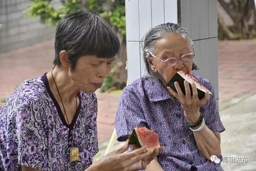 2025新澳门正版免费大全小龙女和商家互砸西瓜丢荔枝与