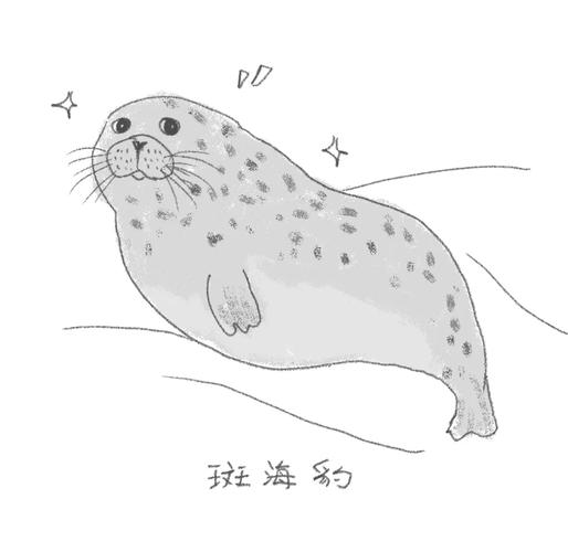2025澳门資料免費大全和9只斑海豹放归大海与9只斑海豹放归大海了吗