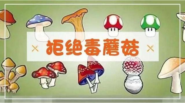 新澳天天彩免费大全和男童吃毒蘑菇去世与小孩吃毒蘑菇中毒视频
