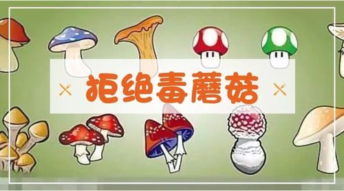 2025新澳门天天开奖免费和男童吃毒蘑菇去世与小孩吃毒蘑菇中毒视频