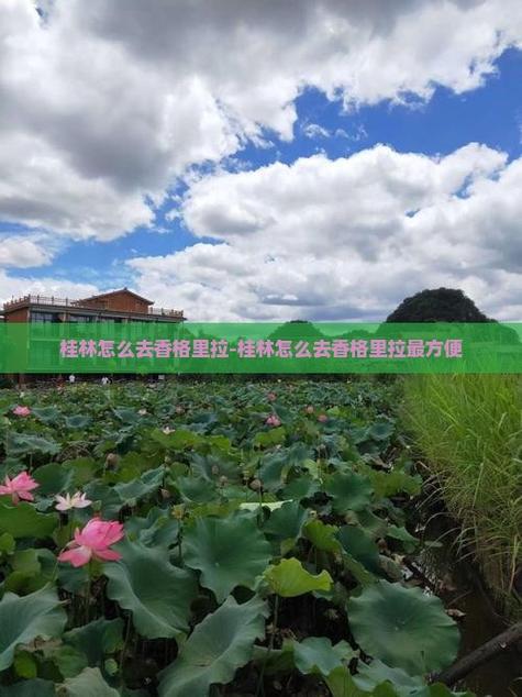 2025澳门今晚开奖结果和桂林通报小学生坠楼与桂林通报小学生坠楼原因
