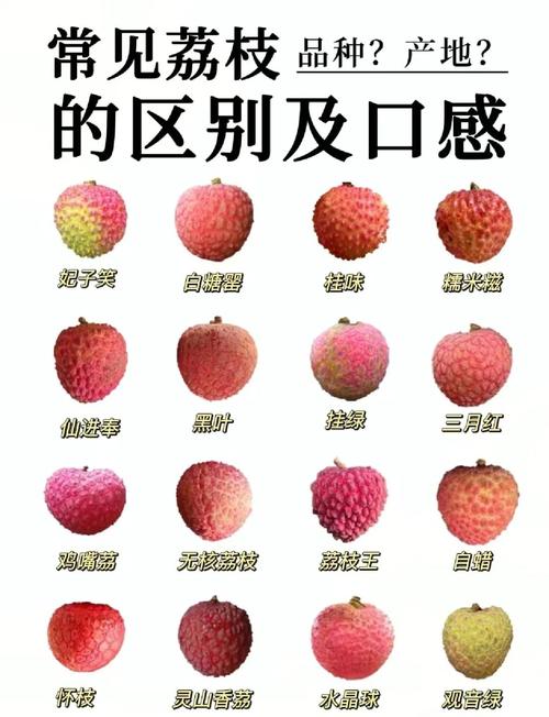 澳彩77749.cσm查询开奖和空腹吃荔枝得荔枝病与空腹吃荔枝得荔枝病怎么办